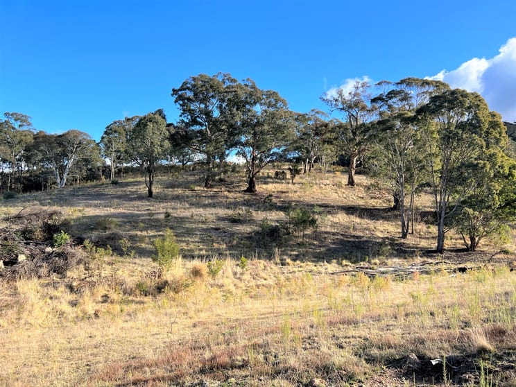 Click to view all images Lot 188 Marble Hill Road Goulburn NSW 2580 - Image 3