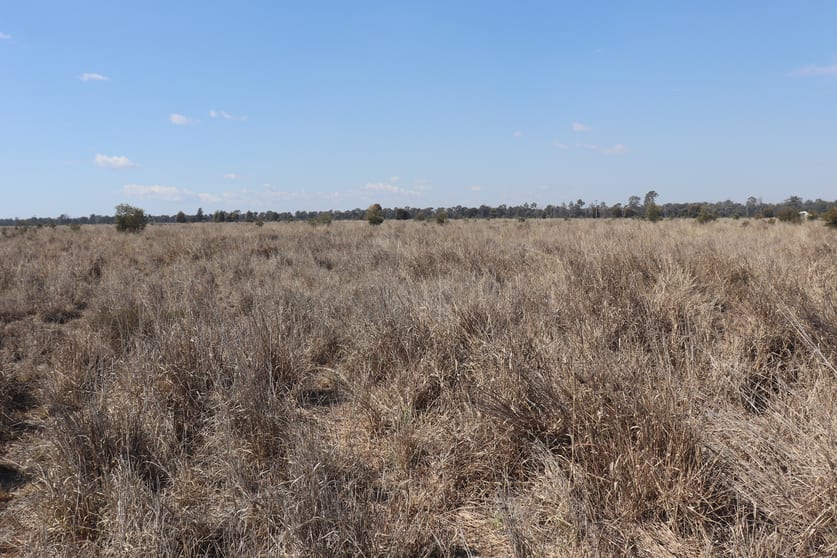 Click to view all images 3053 Burra Burri Creek Road Fairyland QLD 4413 - Image 2
