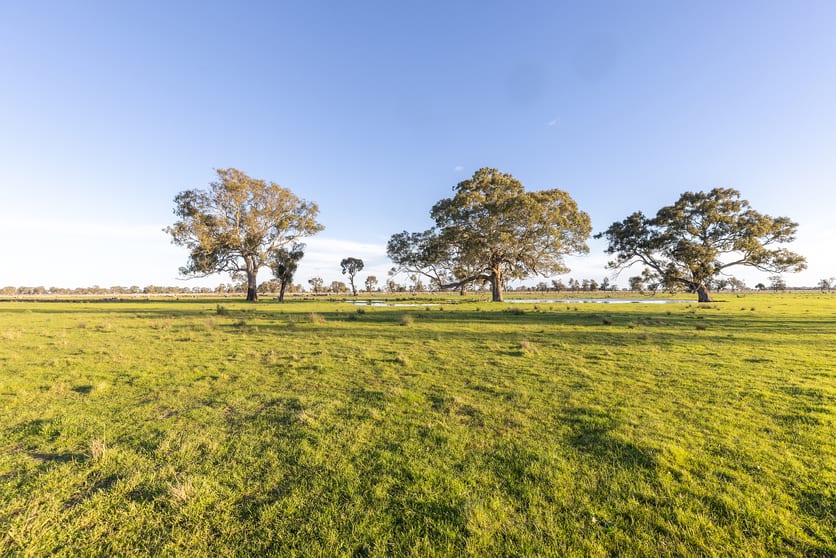 Click to view all images Lot 42A and 42B Davies Road Apsley VIC 3319 - Image 1