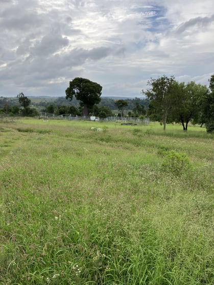 Click to view all images Bunya Mountains QLD 4405 - Image 3
