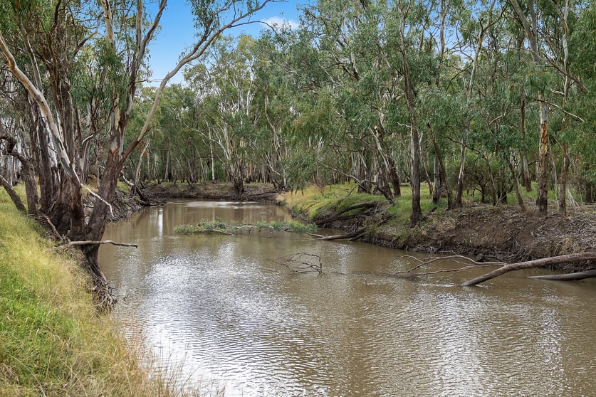 Click to view all images 10935 Sturt Highway Narrandera NSW 2700 - Image 1