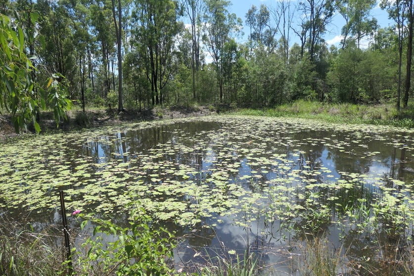 Click to view all images 159 Hunters Road Ewingar NSW 2469 - Image 1