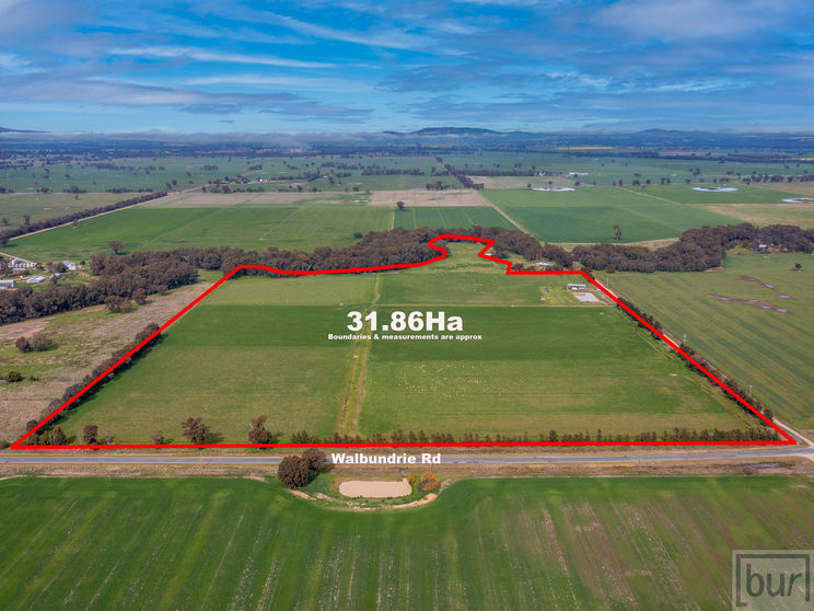 Click to view all images 679 Walbundrie Road Culcairn NSW 2660 - Image 1