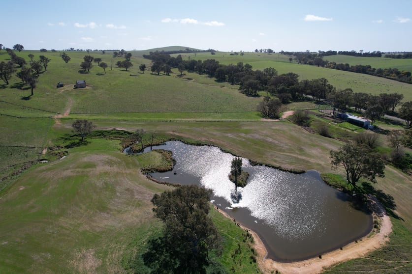 Click to view all images Yarra, Hughstonia Road Binalong NSW 2584 - Image 1
