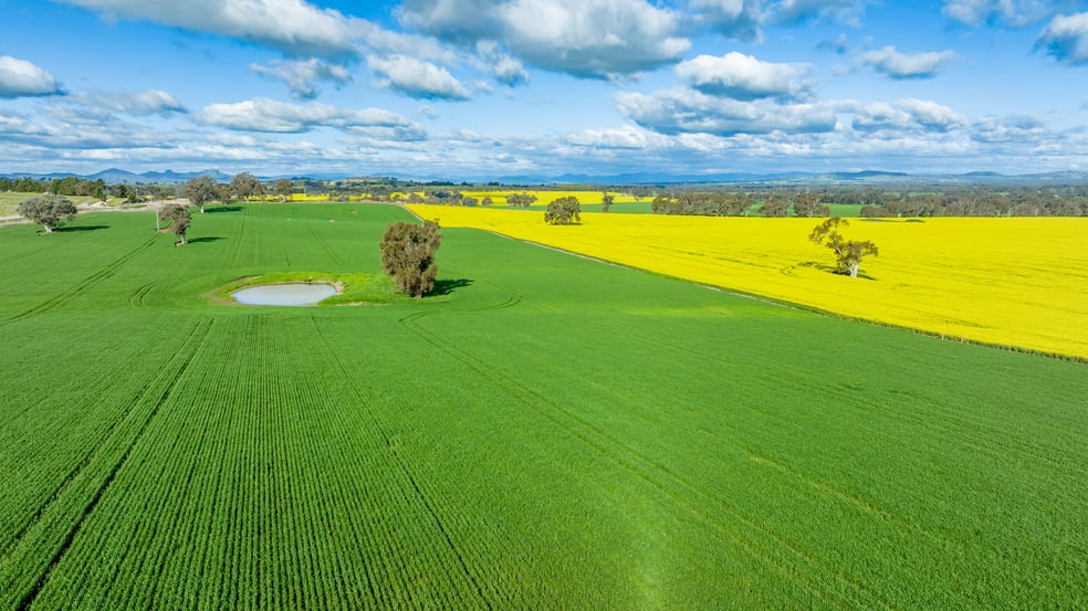 Click to view all images 252 Bethel Road Burrumbuttock NSW 2642 - Image 3
