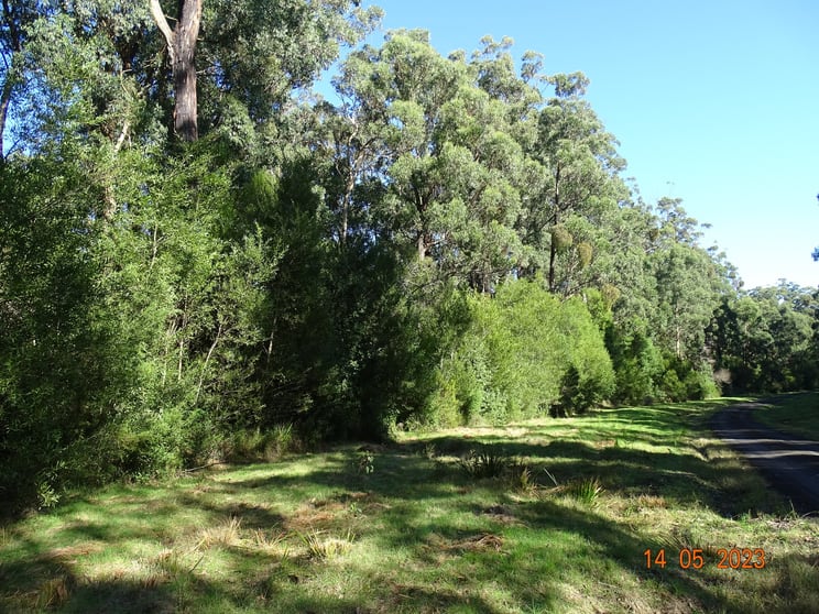 Click to view all images 450 Morris Track Lavers Hill VIC 3238 - Image 1