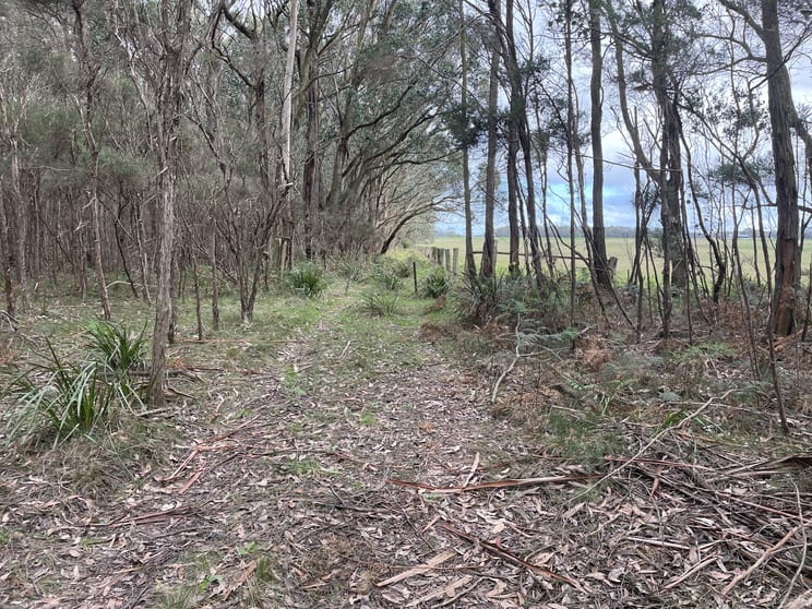 Click to view all images Lot 1 Cobden-Warrnambool Road Naringal East VIC 3277 - Image 2
