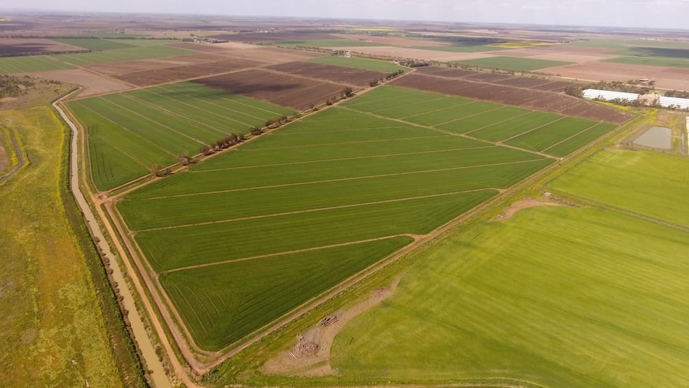 Click to view all images Farm “1069”/281 North Kooba Settlers Road Kooba NSW 2680 - Image 1