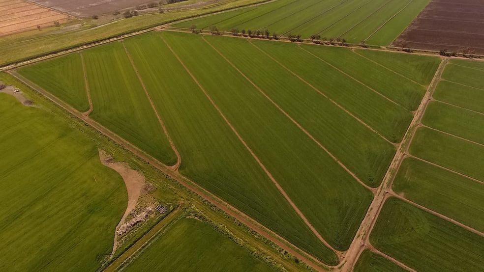 Click to view all images Farm “1069”/281 North Kooba Settlers Road Kooba NSW 2680 - Image 3