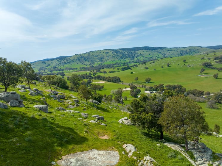 Click to view all images 383 Sheans Creek Road Sheans Creek VIC 3666 - Image 3