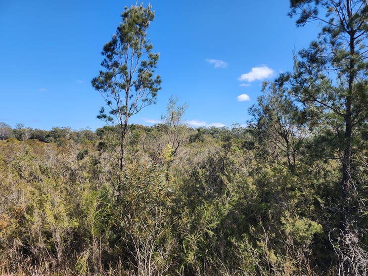 Click to view all images 16, lot 16 Advance Road Sussex Inlet NSW 2540 - Image 3