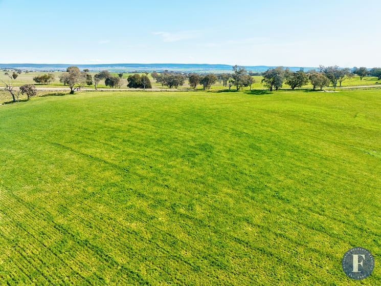 Click to view all images Lot 4 Geegullagong Roads Murringo NSW 2586 - Image 3