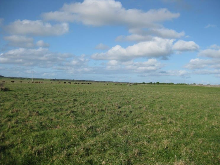 Click to view all images . Stricklands Road Loorana TAS 7256 - Image 3