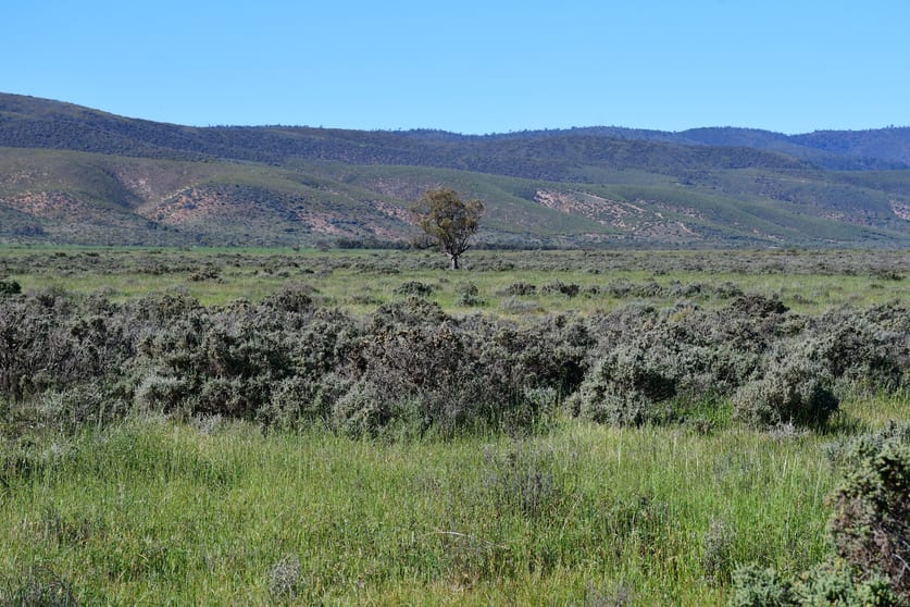 Click to view all images 1200 Middle Track Road Port Germein SA 5495 - Image 3