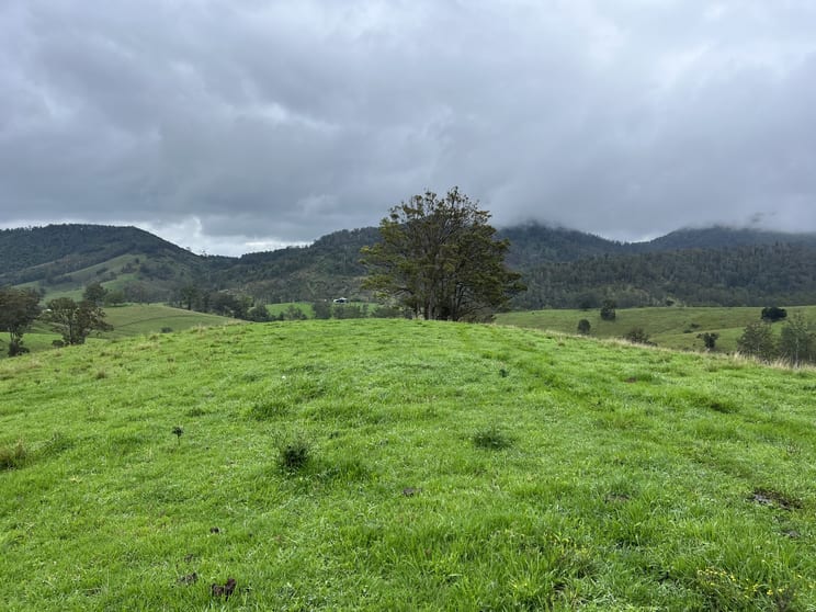 Click to view all images Leachs Road Strathcedar NSW 2429 - Image 2