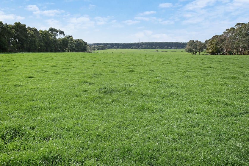 Click to view all images 570 Swan Marsh Road Swan Marsh VIC 3249 - Image 3