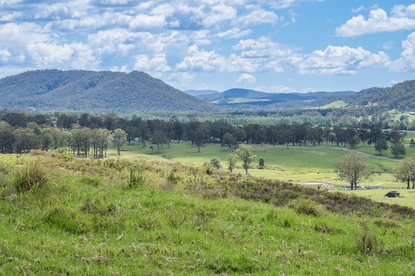 Click to view all images 449 Glen William Road Glen William NSW 2321 - Image 2