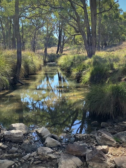 Click to view all images " Midgee " 6874 Warrumbungles Way Coonabarabran NSW 2357 - Image 3