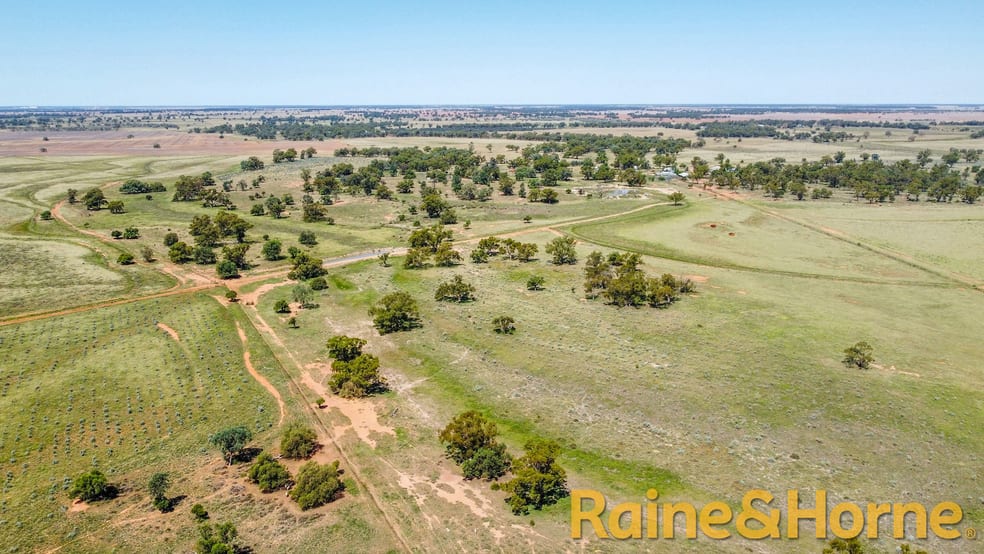 Click to view all images 12094 Mitchell Highway "Kirribilli" Nevertire NSW 2826 - Image 1