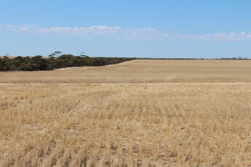 Click to view all images 1568 Pickernell Road Varley WA 6355 - Image 1