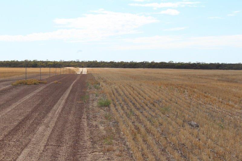 Click to view all images 1568 Pickernell Road Varley WA 6355 - Image 3