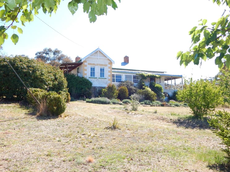 Click to view all images 311 Beresford Road Numeralla NSW 2630 - Image 2