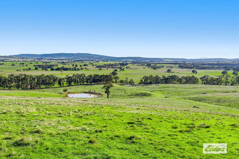 Click to view all images 157 Holden Grove Beaufort VIC 3373 - Image 1