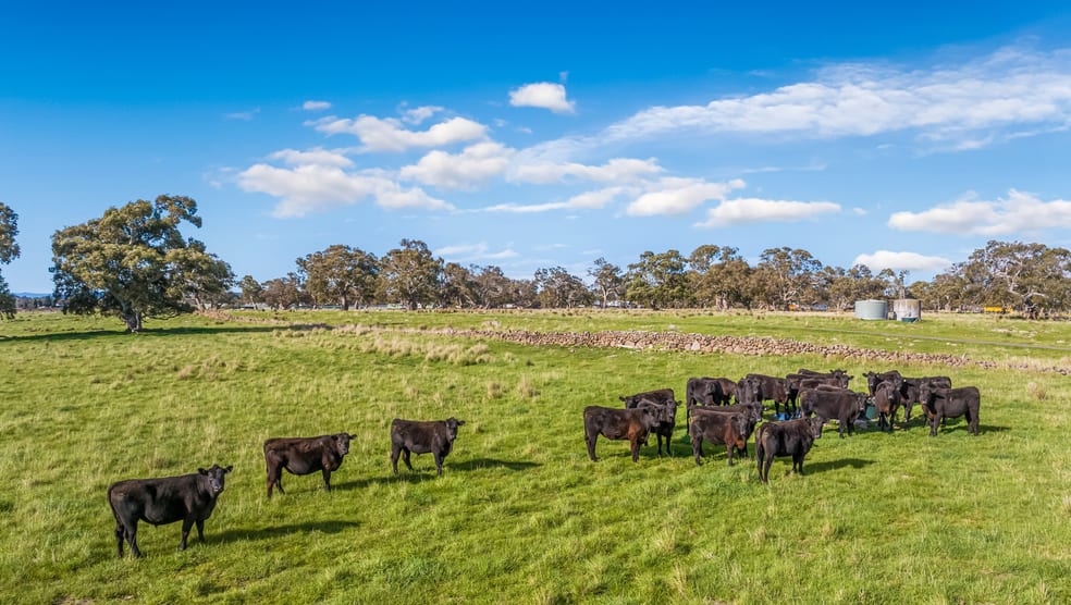 Click to view all images 830 & 850 Epping Road Woodstock VIC 3751 - Image 2