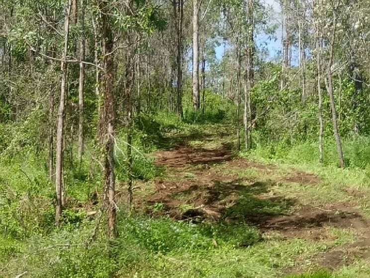 Click to view all images Lot 2 Goyan Road New Moonta QLD 4671 - Image 3