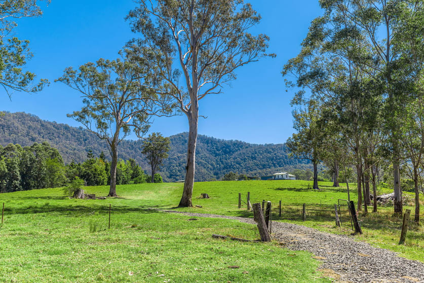 975 Green Pigeon Road, Green Pigeon Via Kyogle NSW 2474 - Image 3