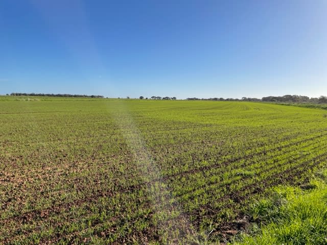 Click to view all images FARM 5007 “DANCORD” Coleambally NSW 2707 - Image 1