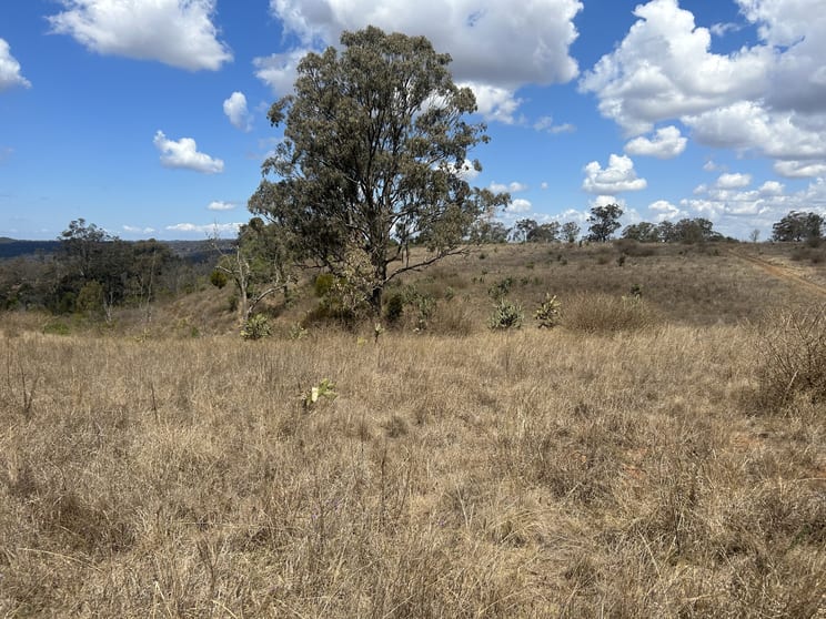 Click to view all images 434 Groomsville Road Groomsville QLD 4352 - Image 2