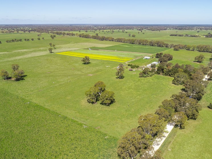 Click to view all images 189 Hodges Lane, Joanna Naracoorte SA 5271 - Image 3