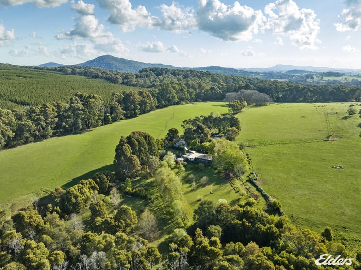 Click to view all images 1443 Bonnie Doon Road Boho South VIC 3669 - Image 1