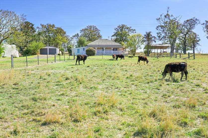 Click to view all images 158 Cressfield Rd Scone NSW 2337 - Image 2