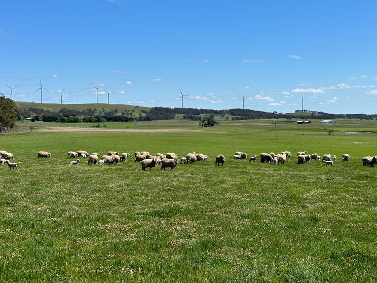 Click to view all images Gurrundah Road Gunning NSW 2581 - Image 1