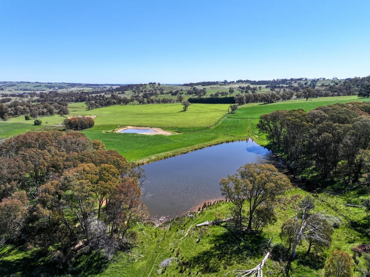 Click to view all images 343 Redground Heights Road, Laggan Crookwell NSW 2583 - Image 3