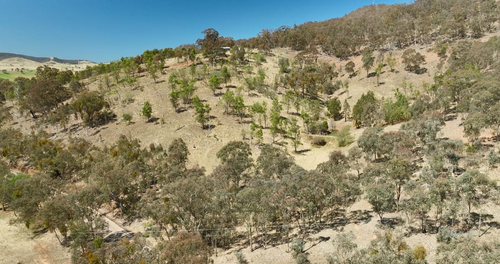 Click to view all images 151 Cassilis Road Swifts Creek VIC 3896 - Image 3