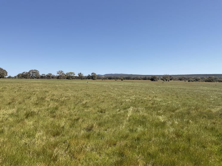 Click to view all images 399 Henty Highway Brimpaen VIC 3401 - Image 3