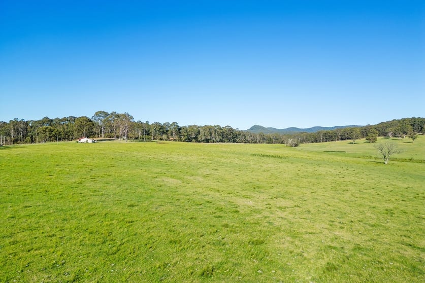 Click to view all images 12 Sauls Road Mandalong NSW 2264 - Image 1