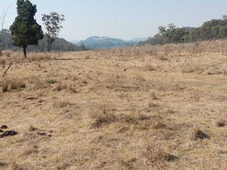 Click to view all images 1366 Woodburn-Emello Rd Gulf Creek NSW 2347 - Image 1