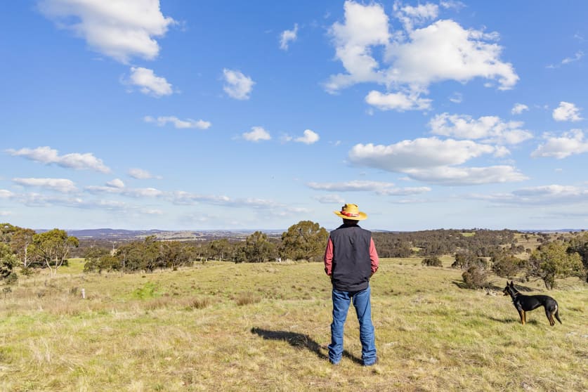 Click to view all images Treorchy & Lochinvar Rye Park Road Gunning NSW 2581 - Image 1