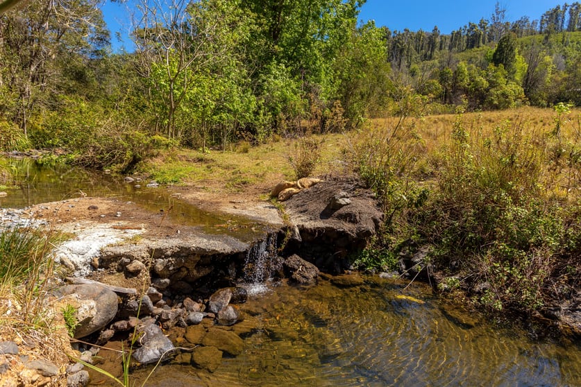 Click to view all images 148-150 Rowley Forest Road Caparra NSW 2429 - Image 1