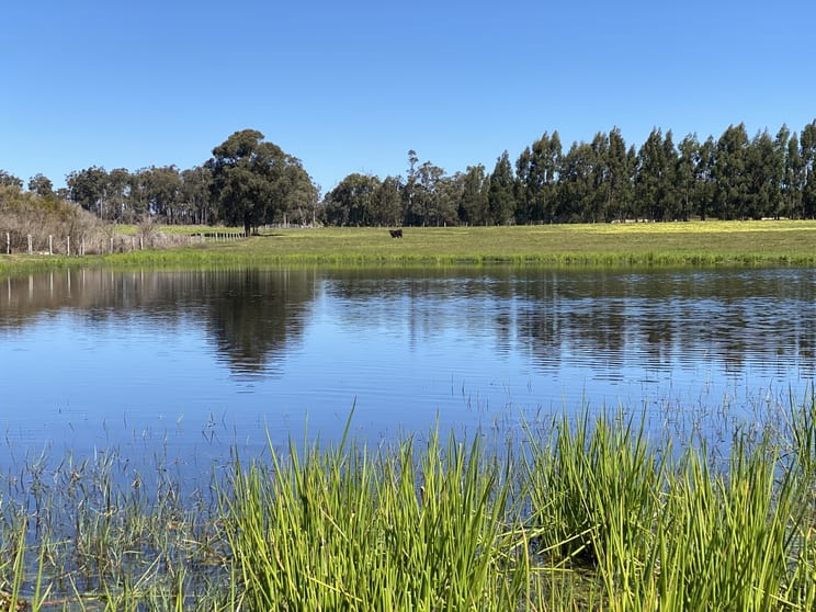 Click to view all images 526 Ralston Road (Dixvale) Manjimup WA 6258 - Image 1
