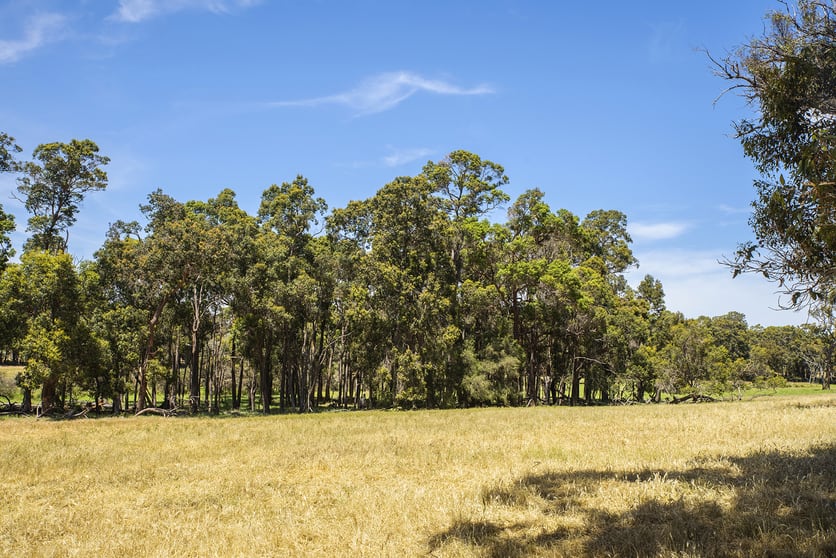 Click to view all images Lot 2 Chapman Hill Road Chapman Hill WA 6280 - Image 2
