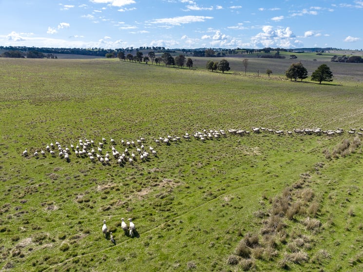 Click to view all images 440 Duramana Road Eglinton NSW 2795 - Image 2