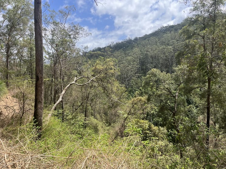 Click to view all images Connollys Creek Road Mount George NSW 2424 - Image 3