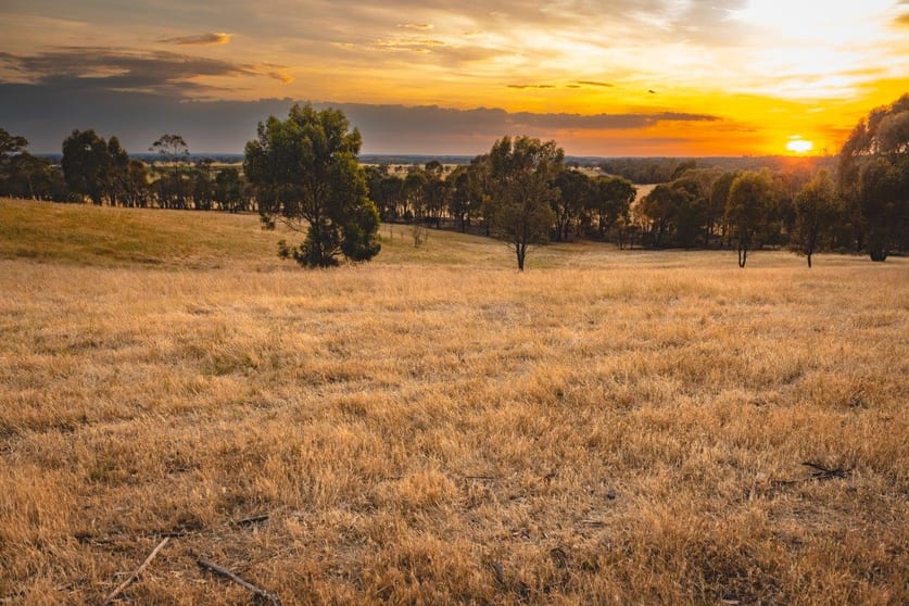 Click to view all images CA59D&59C Plain Road Heathcote VIC 3523 - Image 1