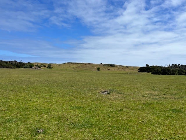 Click to view all images 391 North Road Currie TAS 7256 - Image 1