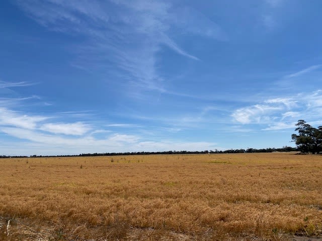Click to view all images Gorman Road Minyip VIC 3392 - Image 1
